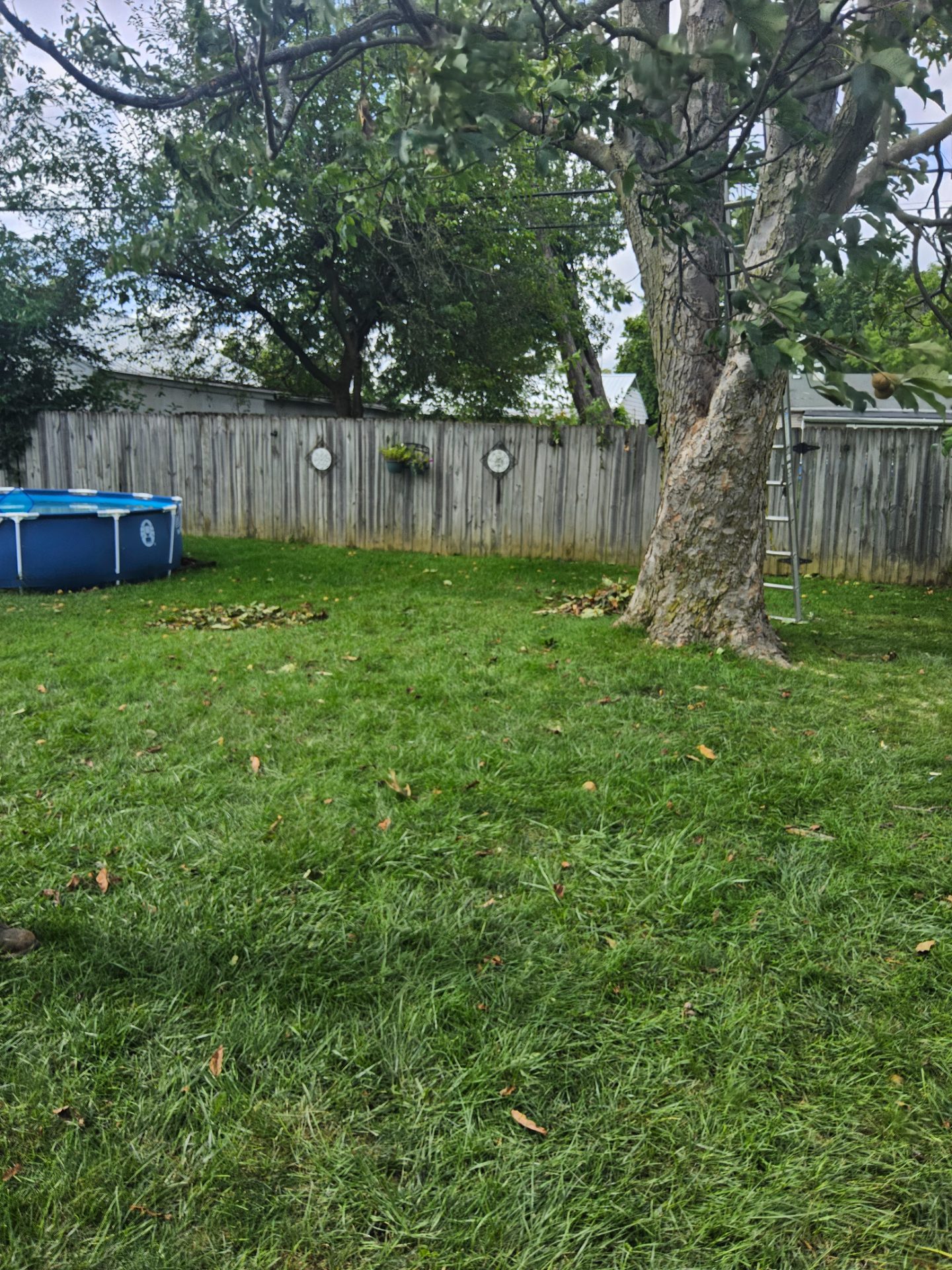 Lawn care work