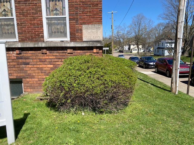 Lawn care work