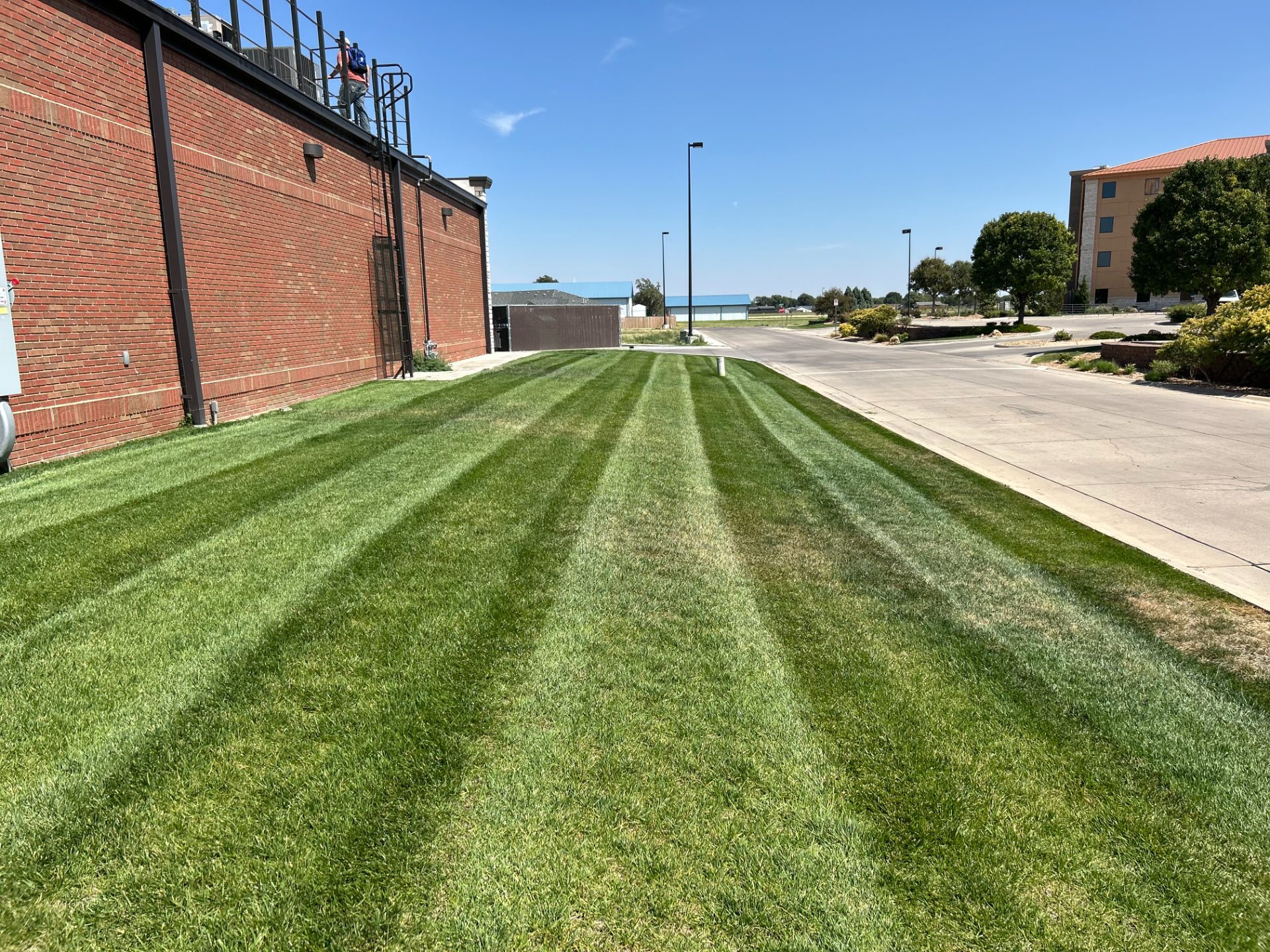 Lawn care work