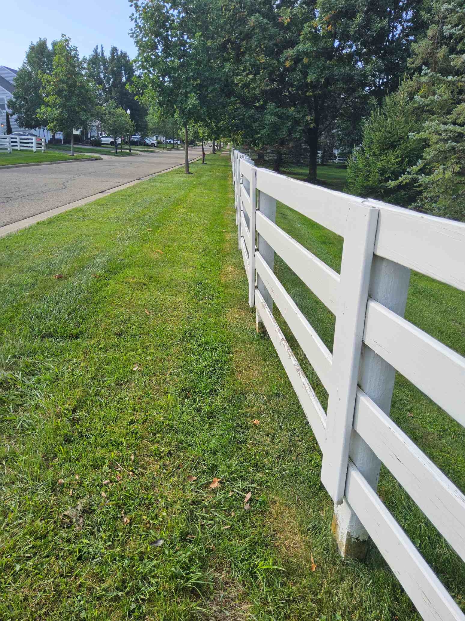Lawn care work