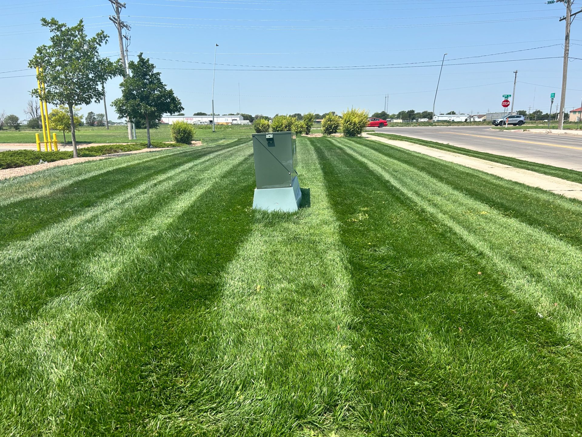 Lawn care work