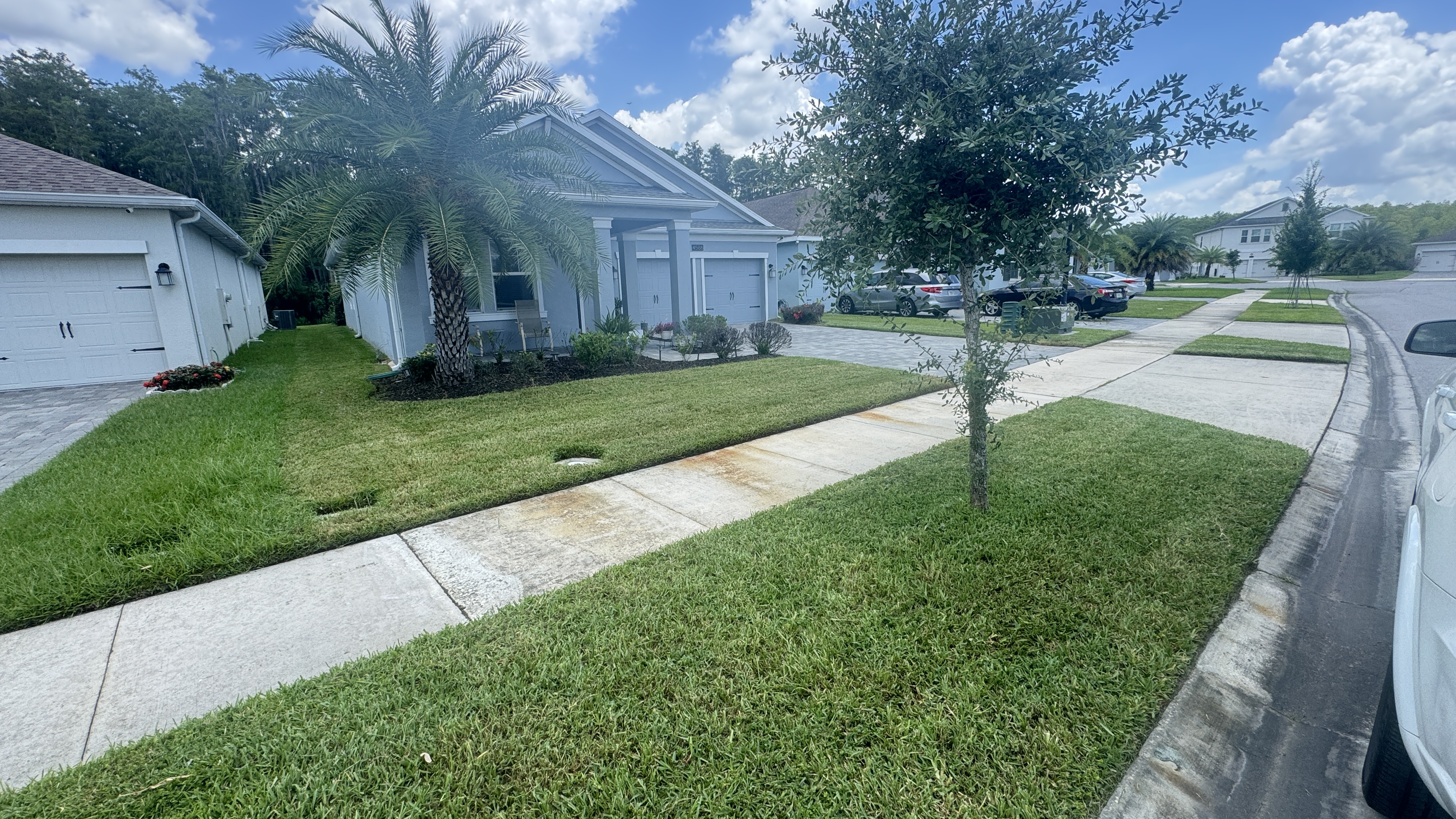 Lawn care work