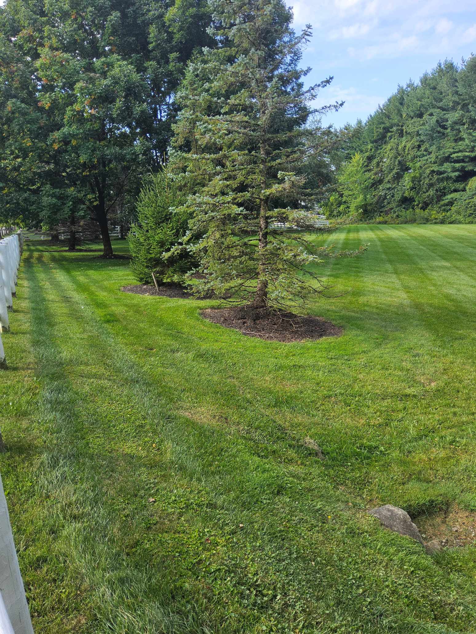 Lawn care work
