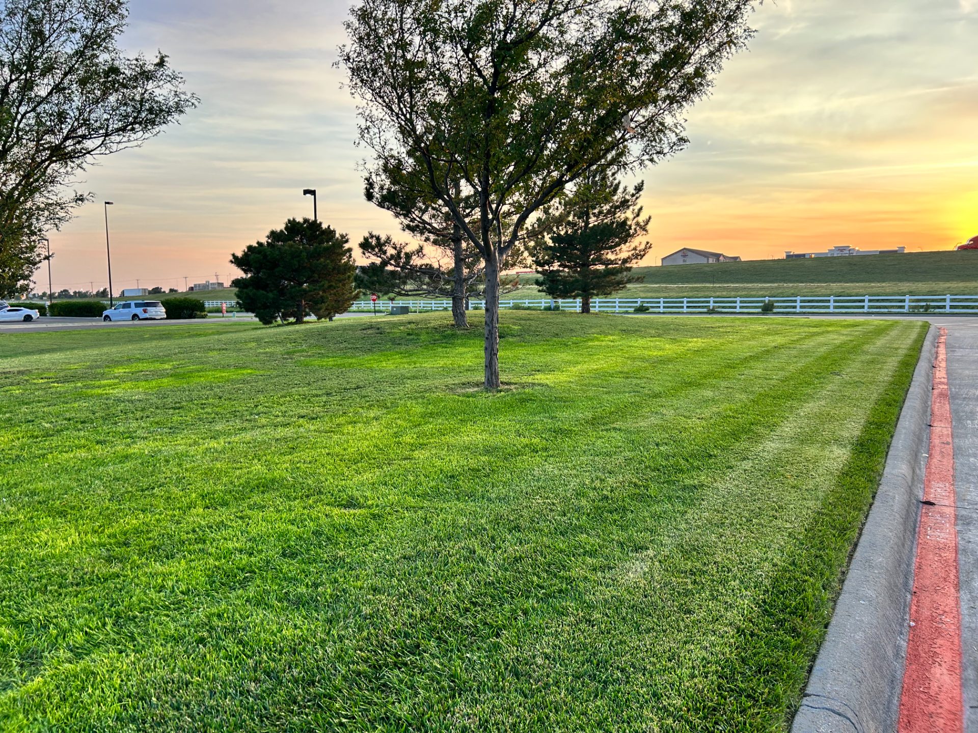 Lawn care work