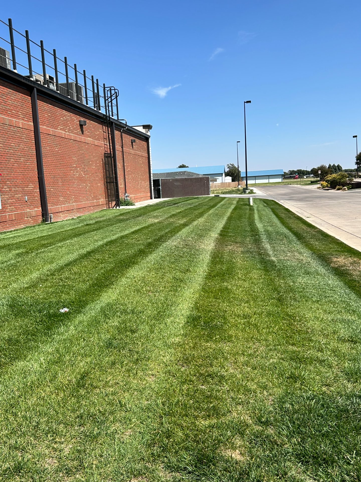 Lawn care work