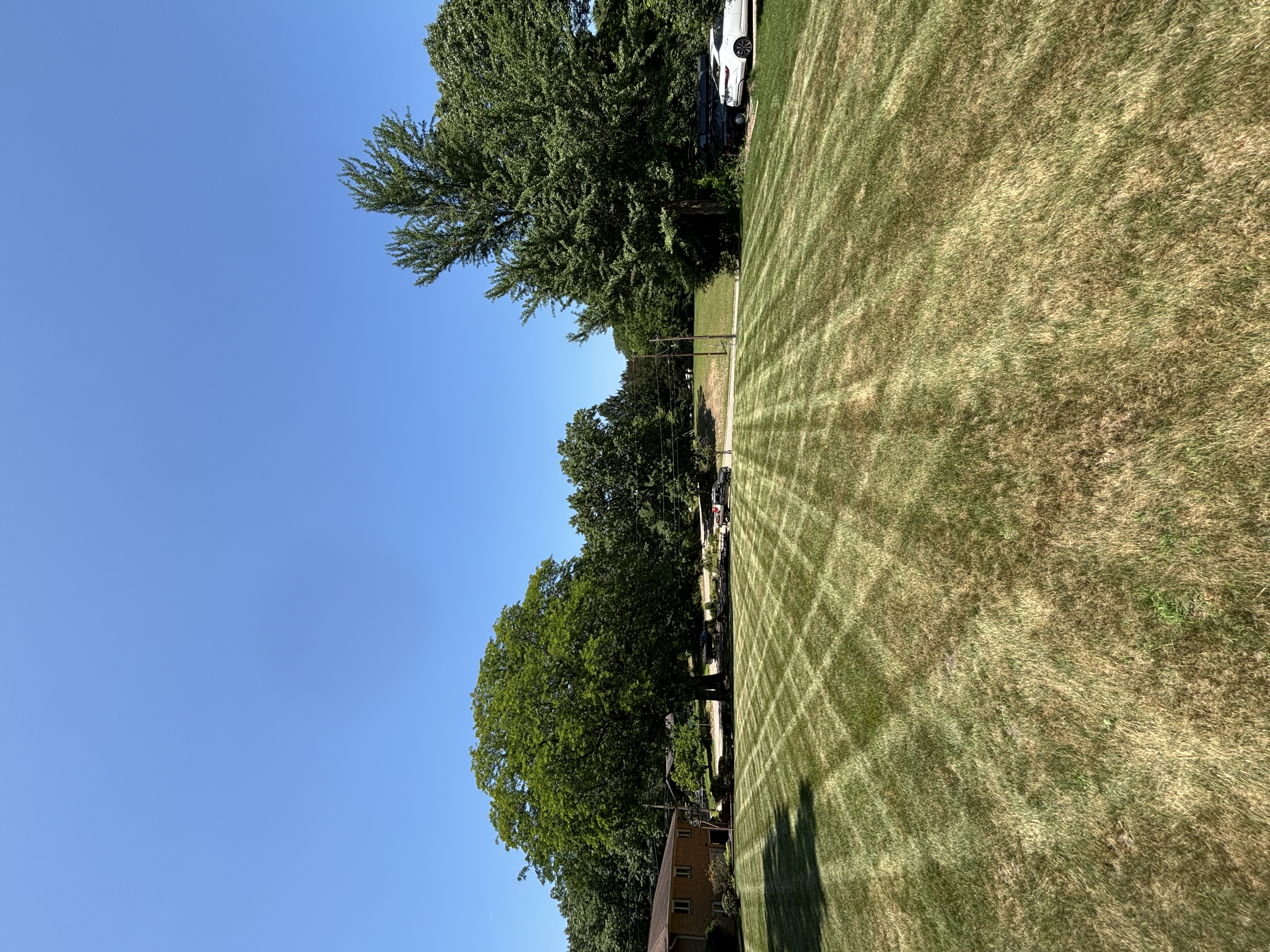 Lawn care work