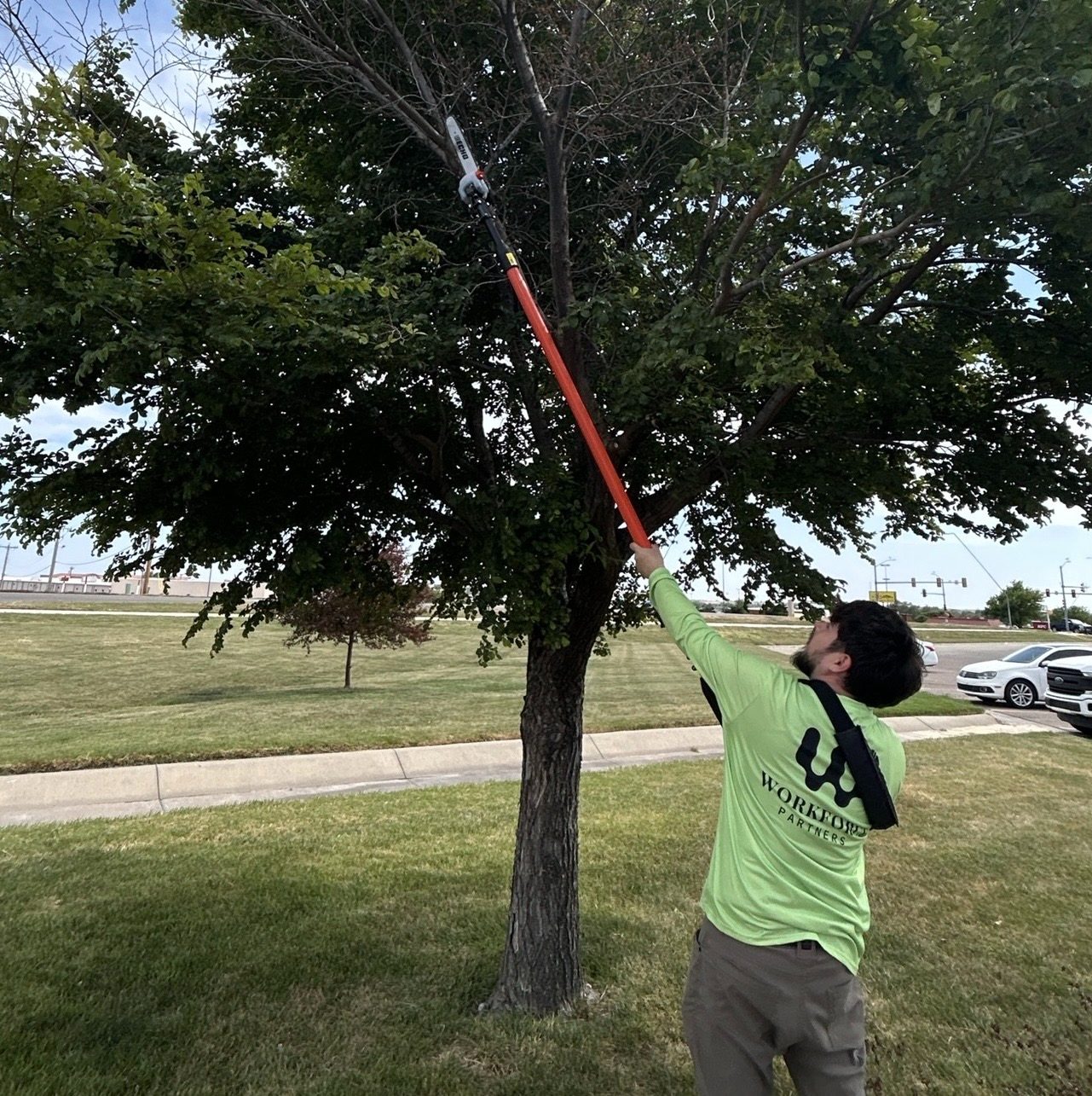 Lawn care work
