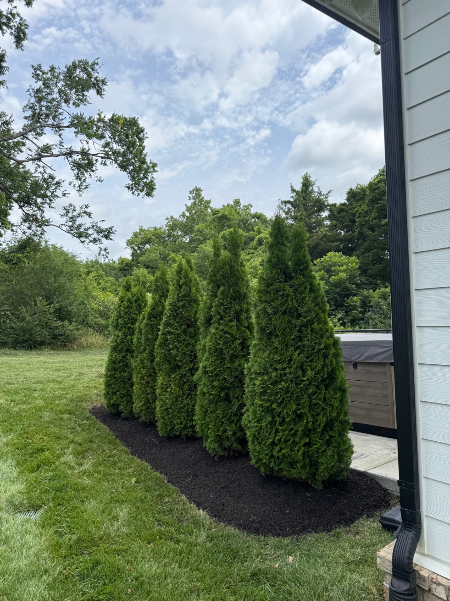 Lawn care work
