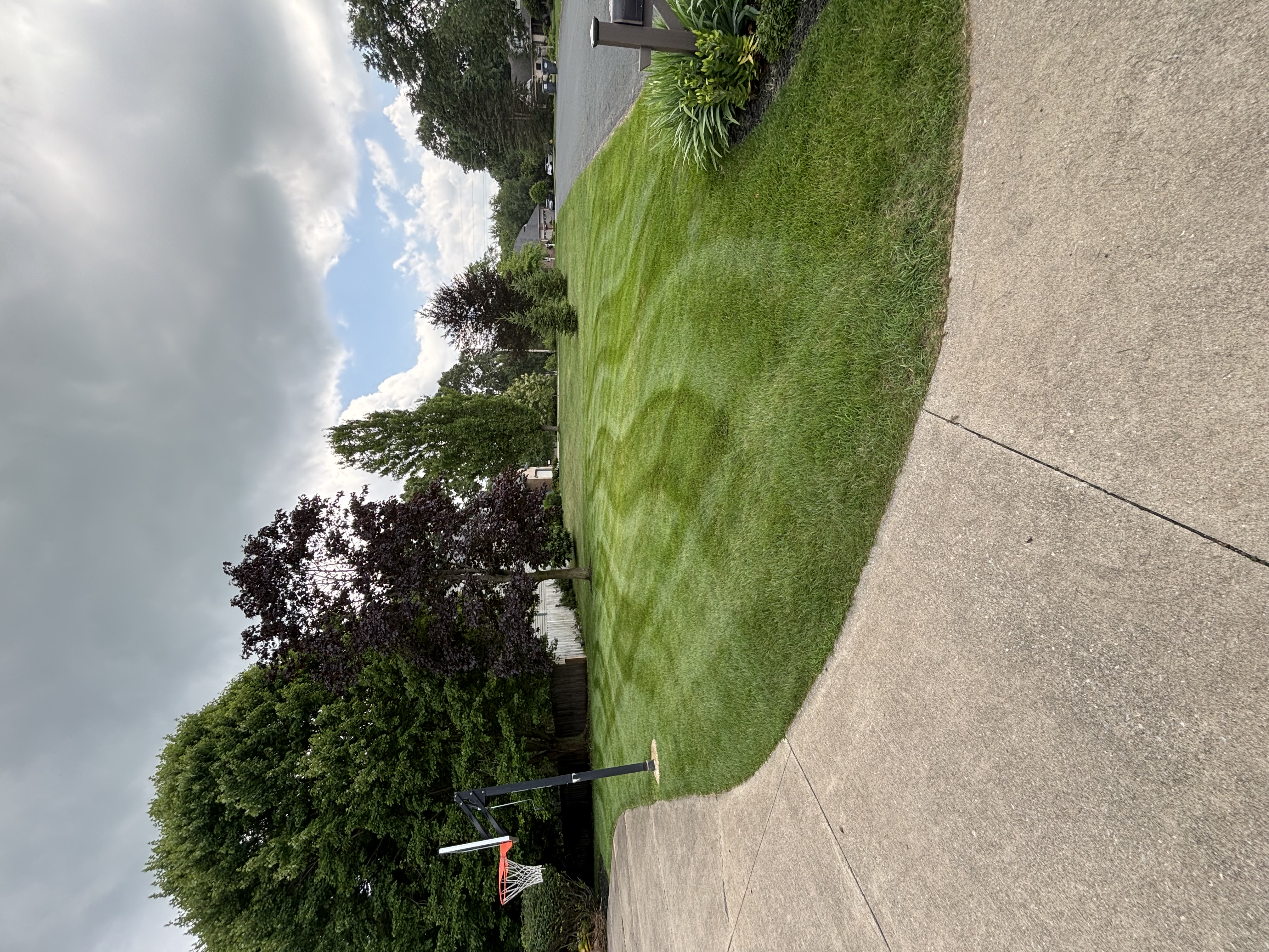 Lawn care work