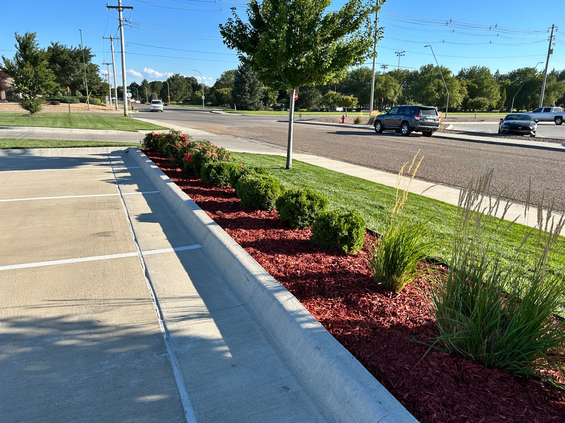 Lawn care work