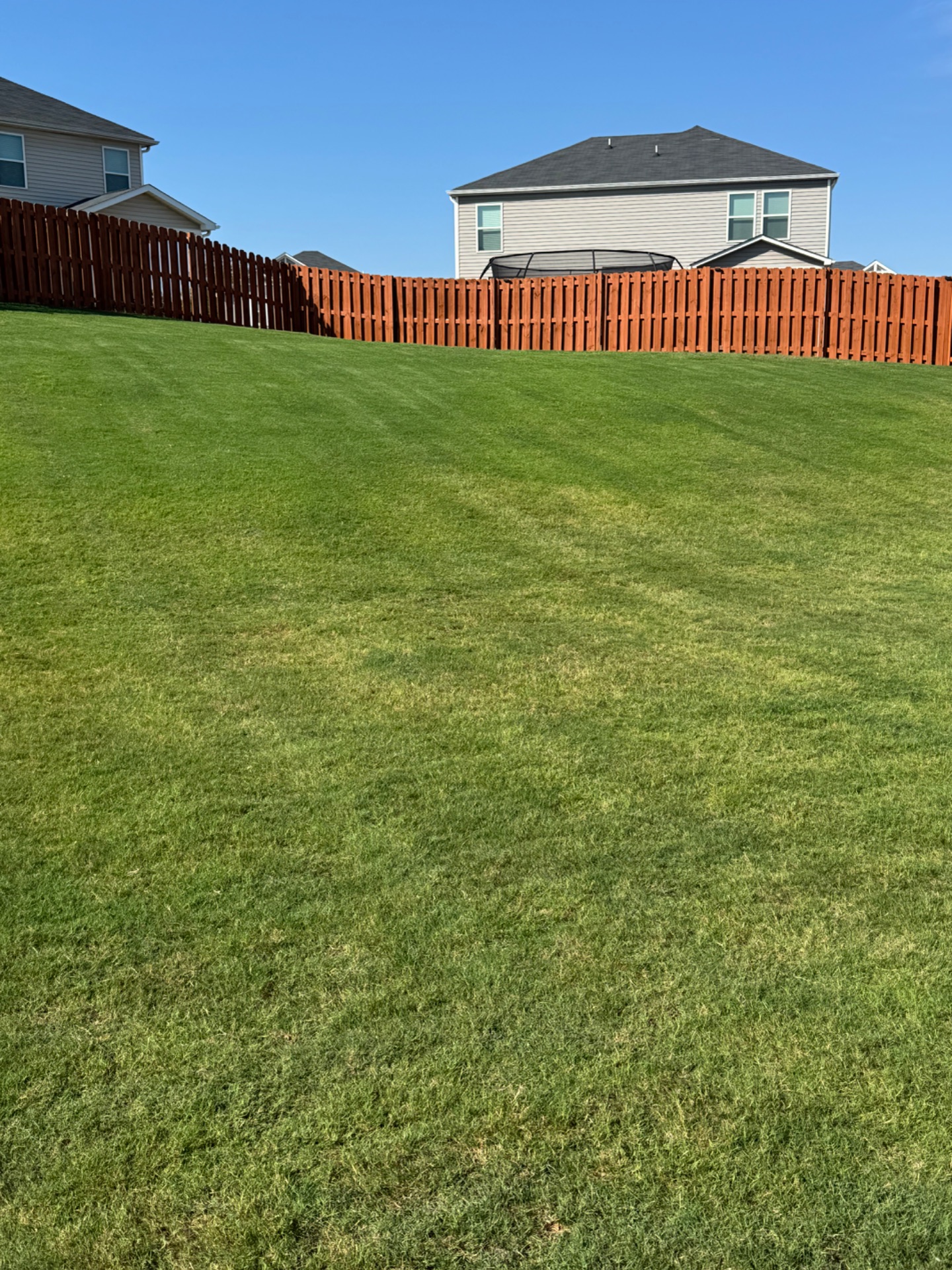 Lawn care work