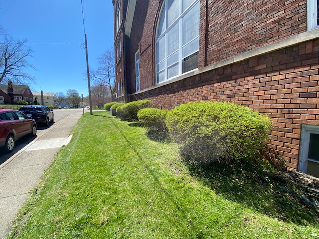 Lawn care work
