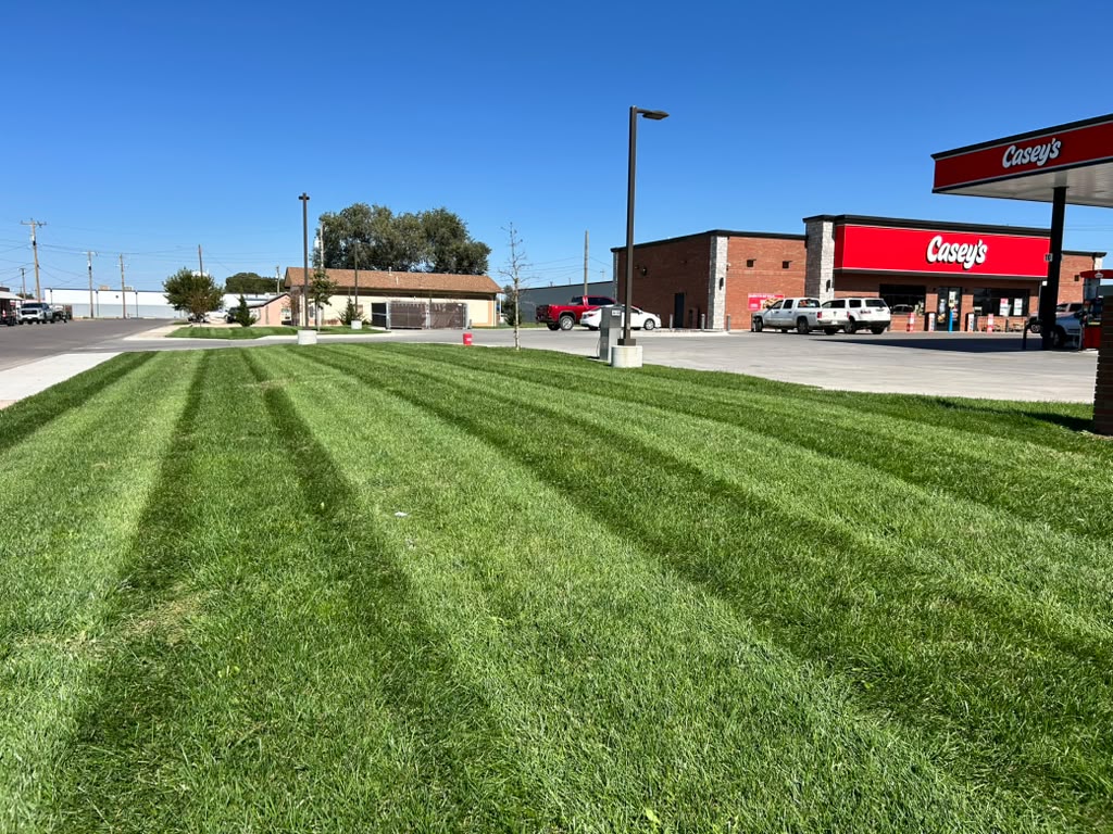 Lawn care work