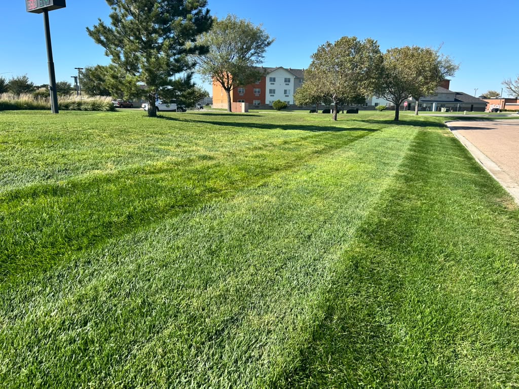 Lawn care work