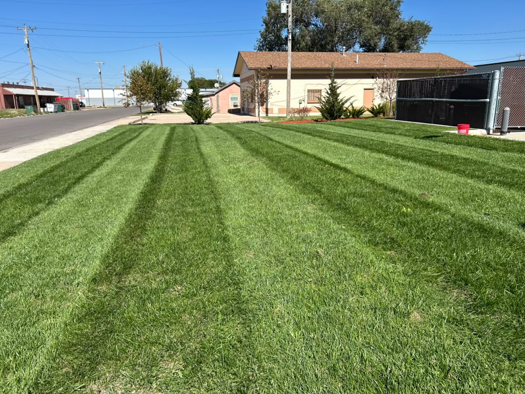 Lawn care work