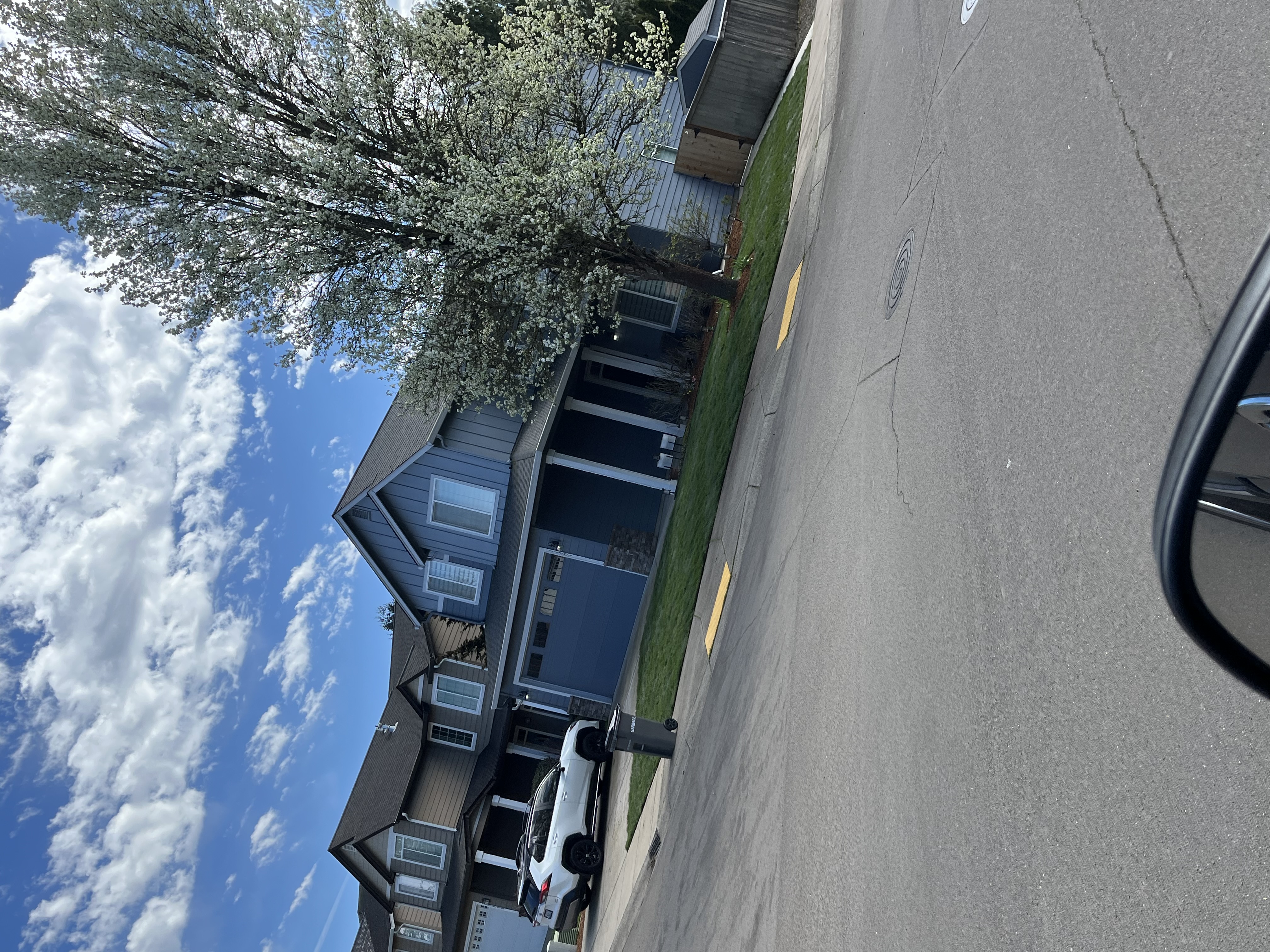 Lawn care work