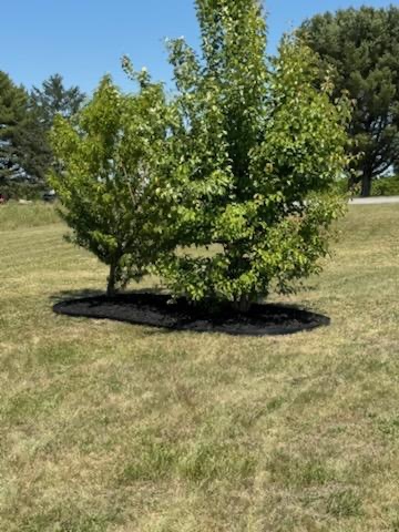 Lawn care work