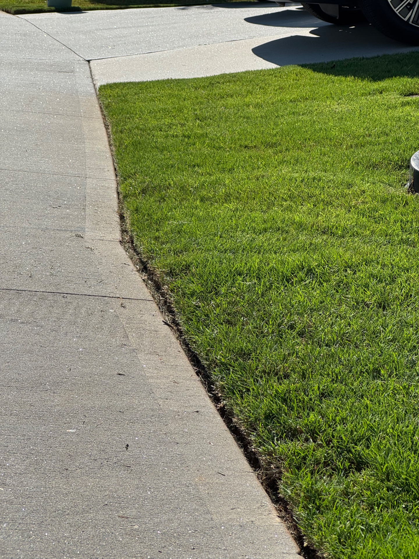 Lawn care work