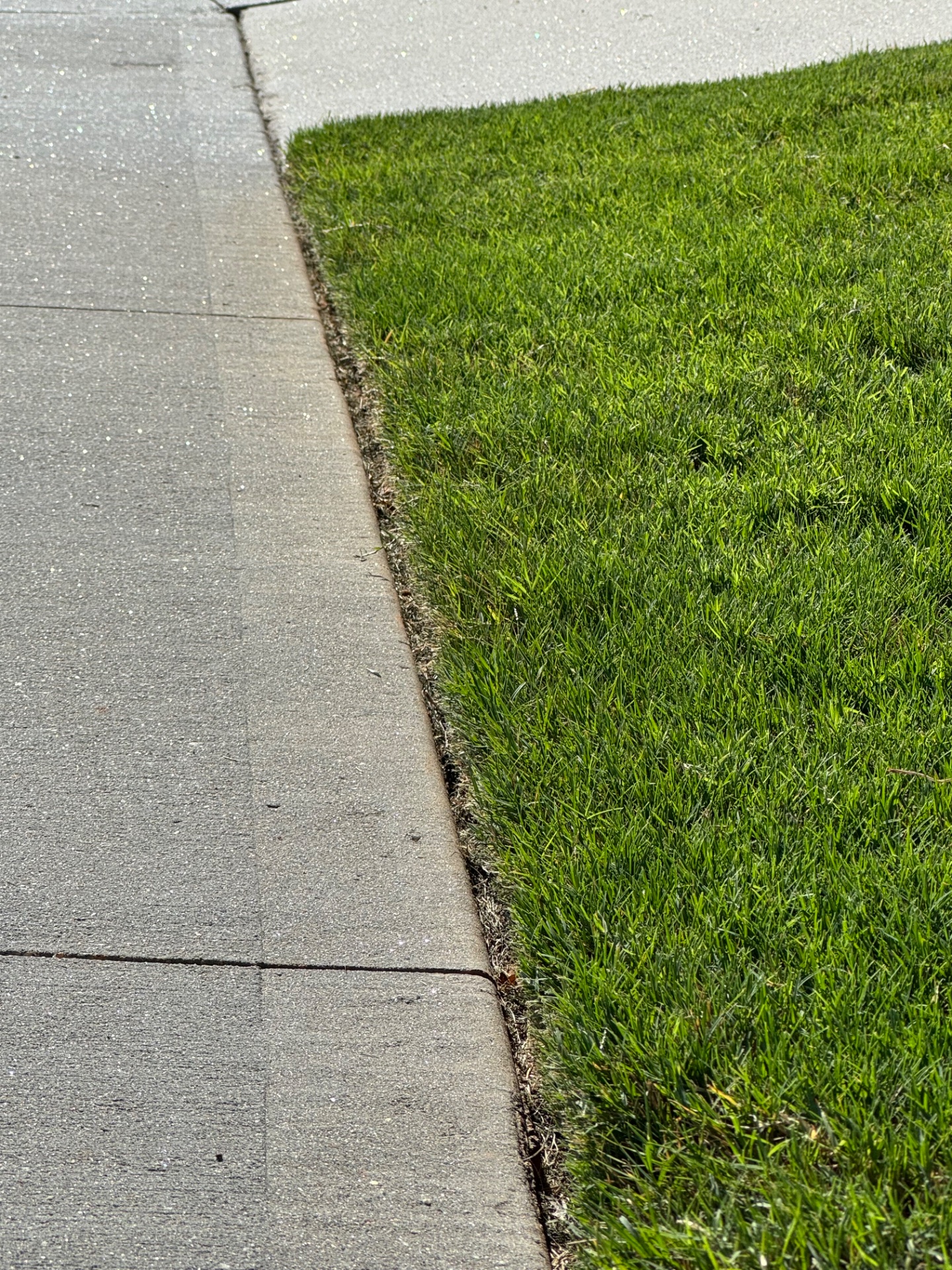 Lawn care work