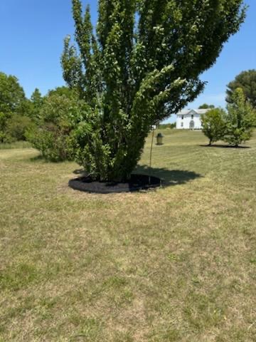 Lawn care work