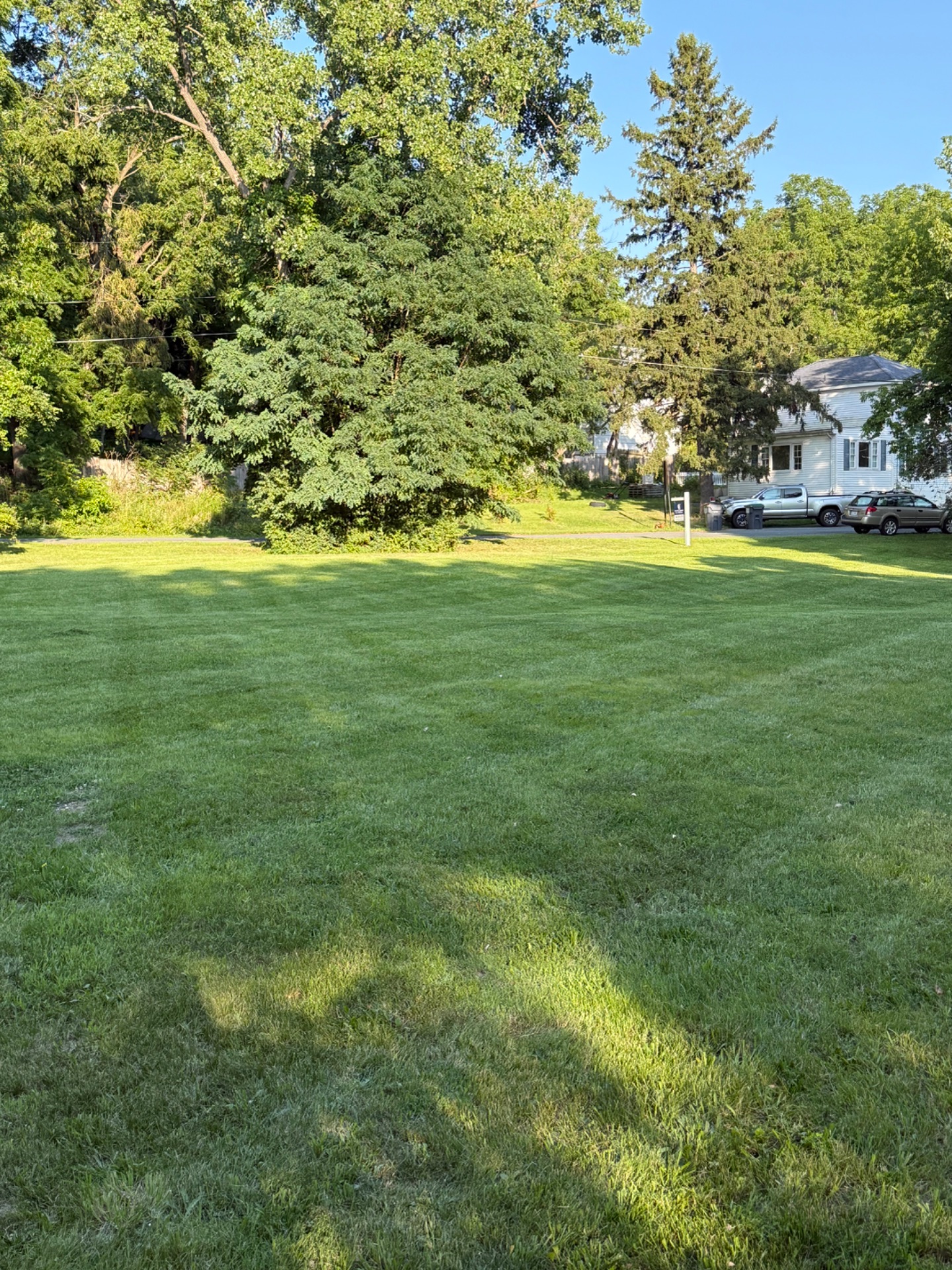 Lawn care work